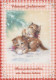 GATO GATITO Animales Vintage Tarjeta Postal CPSM #PBQ842.ES - Chats