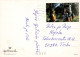 PERRO Animales Vintage Tarjeta Postal CPSM #PBQ449.ES - Dogs
