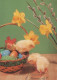 PASCUA POLLO HUEVO Vintage Tarjeta Postal CPSM #PBO797.ES - Easter