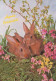 PASCUA CONEJO Vintage Tarjeta Postal CPSM #PBO547.ES - Easter