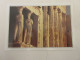 CP CARTE 07-A01 GRECE ATHENES LES CARIATIDES De L'ACROPOLE - Greece