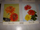 Lot De 8 CP CARTE POSTALE BONNE FETE FLEURS DIVERSES - Vierge - Other & Unclassified