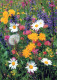 FLOWERS Vintage Postcard CPSM #PAS458.GB - Blumen