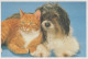 DOG AND CAT Animals Vintage Postcard CPSM #PAM054.GB - Dogs