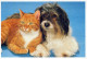 DOG AND CAT Animals Vintage Postcard CPSM #PAM054.GB - Chiens