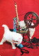 CAT KITTY Animals Vintage Postcard CPSM #PAM300.GB - Cats