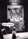 TIGRE Animaux Vintage Carte Postale CPSM #PBS036.FR - Tigers