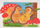 HÉRISSON Animaux Vintage Carte Postale CPSM #PBR232.FR - Sonstige & Ohne Zuordnung