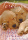 CHIEN Animaux Vintage Carte Postale CPSM #PBQ584.FR - Hunde