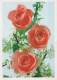 FIORI Vintage Cartolina CPSM #PAR921.IT - Fiori