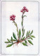 FIORI Vintage Cartolina CPSM #PAR501.IT - Flowers