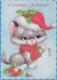 GATTO KITTY Animale Vintage Cartolina CPSM #PAM623.IT - Chats