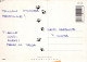GATTO KITTY Animale Vintage Cartolina CPSM #PAM368.IT - Chats