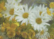 FLOWERS Vintage Postcard CPSM #PBZ265.GB - Fleurs