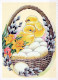 EASTER CHICKEN EGG Vintage Postcard CPSM #PBO733.GB - Pâques