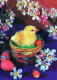 EASTER CHICKEN EGG Vintage Postcard CPSM #PBP112.GB - Easter