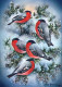 Happy New Year Christmas BIRD Vintage Postcard CPSM #PBM667.GB - Nieuwjaar