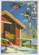 Happy New Year Christmas BIRD GNOME Vintage Postcard CPSM #PBB452.GB - Neujahr