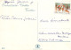 Happy New Year Christmas BIRD GNOME Vintage Postcard CPSM #PBB452.GB - Anno Nuovo