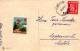 Buon Anno Natale FIORI Vintage Cartolina CPSMPF #PKD732.IT - Anno Nuovo