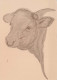 MUCCA Animale Vintage Cartolina CPSM #PBR814.IT - Cows