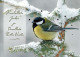 UCCELLO Animale Vintage Cartolina CPSM #PBR498.IT - Birds