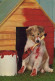 CANE Animale Vintage Cartolina CPSM #PBQ586.IT - Dogs