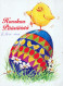 PASQUA POLLO UOVO Vintage Cartolina CPSM #PBP055.IT - Easter