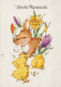 PASQUA POLLO UOVO Vintage Cartolina CPSM #PBO613.IT - Pasqua