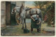 Horse Blacksmith Shoeing The Grey Mare (Vintage PC ~1910s/1920s) - Autres & Non Classés