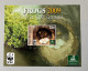 WWF 2009 : PAPUA NEW GUINEA - Frogs -  MNH ** - Nuevos