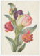 Postal Stationery Soviet Union 1960 Flower - Tulip - Autres & Non Classés