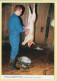 On A Tué Le Cochon Chez LE ROUX : Franck Le Prépare / PLOUGASNOU (29) (QUINQUIS J.) C.M.T.B. N° 121 / 400 Ex (CARTOUEST) - Paysans