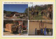 Sur Les Routes Du Jurançon / GAN / 4 Vues (Elizabeth ARRIUS-PARDIES N° F300) Images D'un Temps Qui Passe - Campesinos