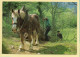 Descente Des Fougères (Elizabeth ARRIUS-PARDIES N° F349) Images D'un Temps Qui Passe / Collection Vallées Pyrénéennes - Bauern