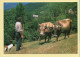 Fenaisons / Arrivée De L'attelage Dans La Prairie (Elizabeth ARRIUS-PARDIES N° E87) Images D'un Temps Qui Passe - Farmers