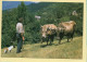 Fenaisons / Arrivée De L'attelage Dans La Prairie (Elizabeth ARRIUS-PARDIES N° C 46) Collection Vallées Pyrénéennes - Campesinos