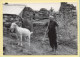 Deux Compagnons (Elizabeth ARRIUS-PARDIES N° C 40) Images D'un Temps Qui Passe / Collection Vallées Pyrénéennes - Farmers