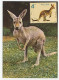 Maximum Card Poland 1980 Kangaroo - Andere & Zonder Classificatie