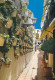 AK 211691 SPAIN - Marbella . Calle Tipico - Andere & Zonder Classificatie