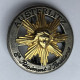 Insigne Militaire -  8ème Régiment D'Artillerie 8e RA - Austerlitz - Ballard G3338 - Hueste