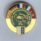 Insigne Militaire - état Major De La Division Multinationale Sud Est - Opération Salamandre Martineau G4646 - Armée De Terre