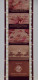 Films HELIO COLOR Pour PATHEORAMA Avec Boite D'origine - Contes Scientifique N°24 La Compagne Du Pagure - 35mm -16mm - 9,5+8+S8mm Film Rolls