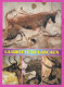 294128 / France - Village Montignac Cave Lascaux (Grottes De Lascaux) PC 1990 USED 2.30 Fr. Marianne De Briat Flamme Cha - Covers & Documents
