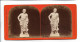 TT0257/ Stereofoto Skulpturen-Gallerie  Aesculap J.F.Stiehm, Berlin Ca.1885 - Autres & Non Classés