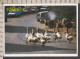 089740GF/ Oies, Hausgänse, Geese, En Turquie - Vögel