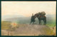 BJ016 JAPAN GIAPPONE FUJIYAMA KASHIWABARA MAN HORSE  OLD ORIGINAL POSTCARD - Otros & Sin Clasificación