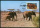 Mk Uganda Maximum Card 1983 MiNr 364 A | Endangered Wildlife. WWF. Elephants #max-0070 - Uganda (1962-...)