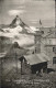 11761676 Gornergrat Zermatt Kulm Hotel Matterhorn Mont Cervin Gornergrat Zermatt - Other & Unclassified