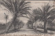 1905. FRANCE. Postcard HYERES - Avenue Victoria. Collection Artistique To Sachsen Cancelled M... (MICHEL 108) - JF432598 - Sonstige & Ohne Zuordnung